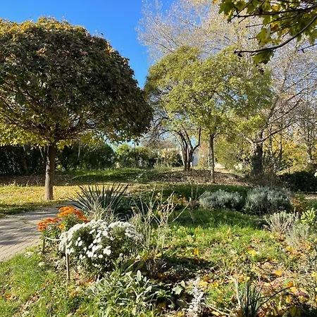 Petronela S Parkovacím Miestom *