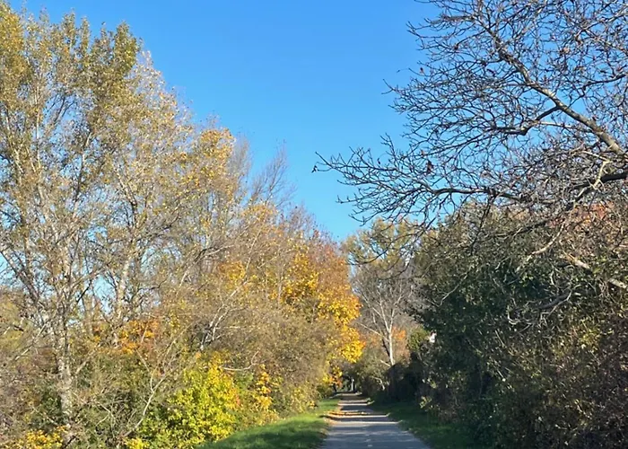 Petronela S Parkovacím Miestom